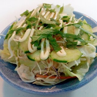 レタス・千切り野菜・胡瓜・青じそのサラダ